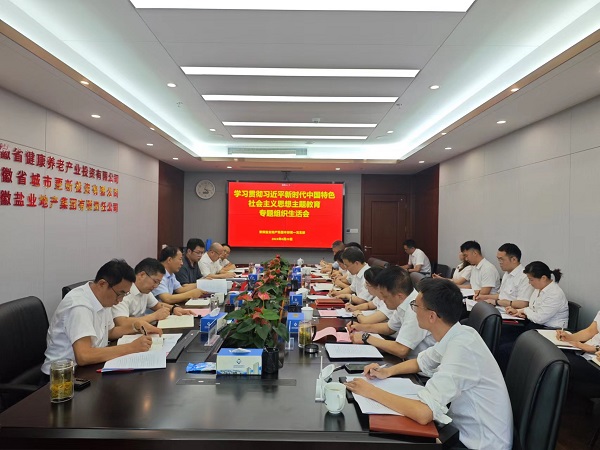 安徽盐业地产集团本部第一党支部召开主题教育专题组织生活会
